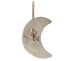 Maileg ETA JUNE SS24 Moon, L'aventure De La Lune