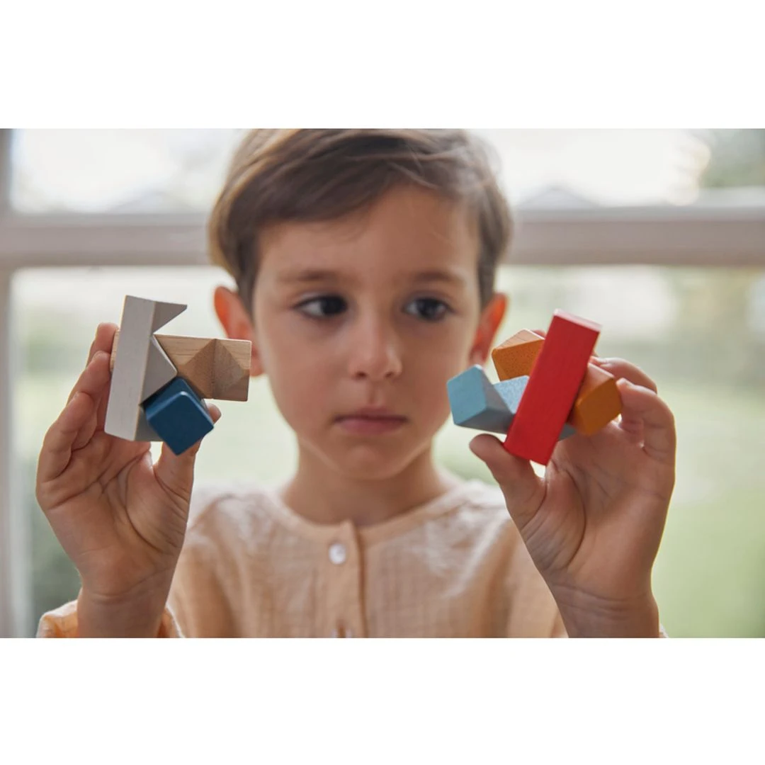 Plantoys Planmini - Rectangular Puzzle - Image 2