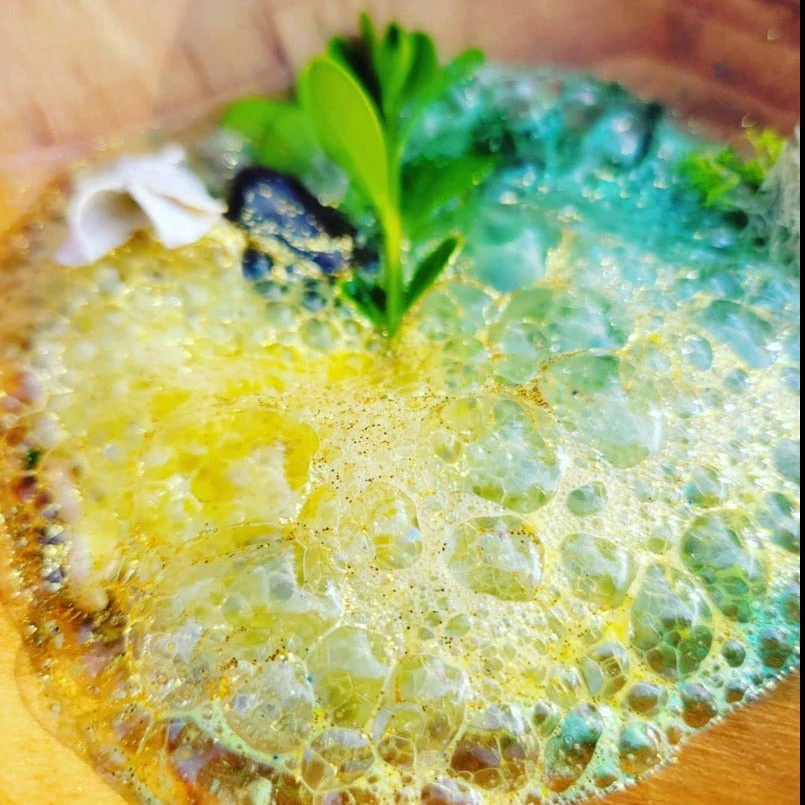 Wild Forest Potion Kit - Image 4