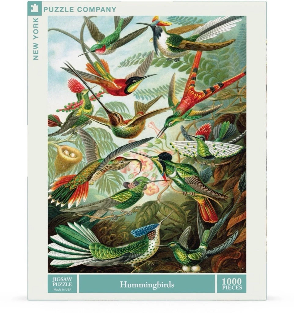 Hummingbirds - Image 2