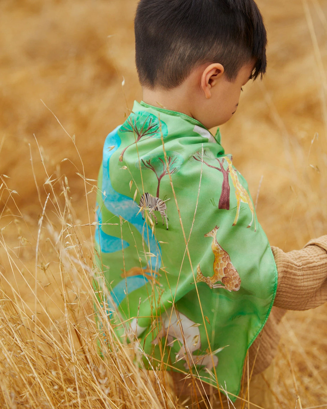 Limited Edition Sarah's Silks Safari Playmap - Image 3