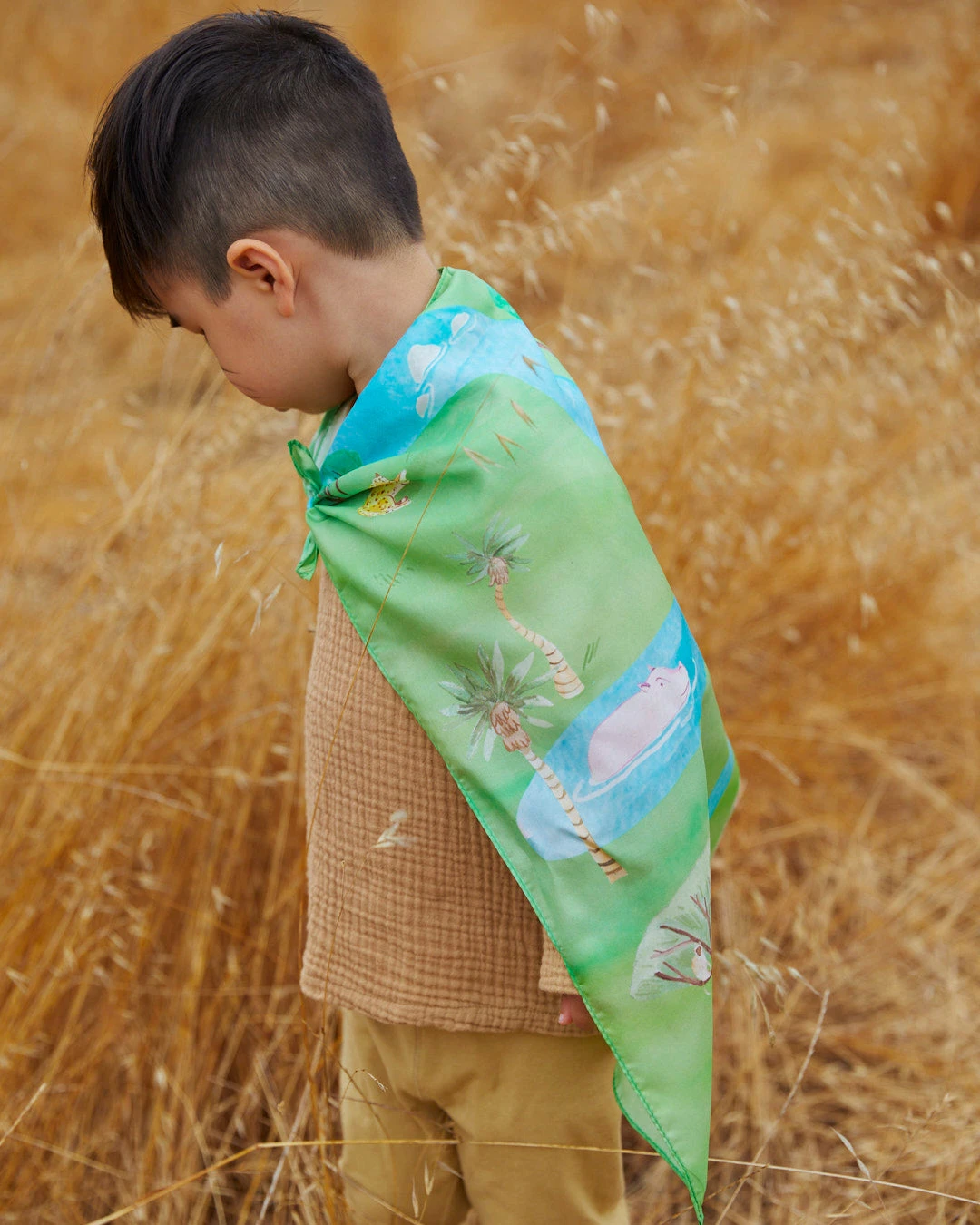 Limited Edition Sarah's Silks Safari Playmap - Image 5