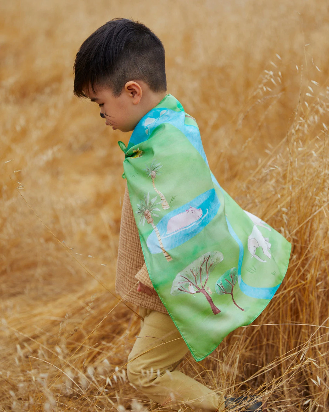 Limited Edition Sarah's Silks Safari Playmap - Image 4