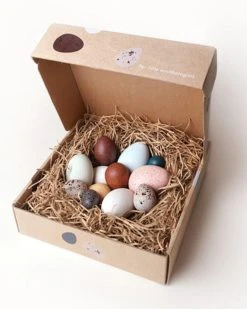 A Dozen Bird Eggs In A Box