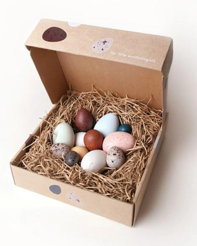 A Dozen Bird Eggs In A Box