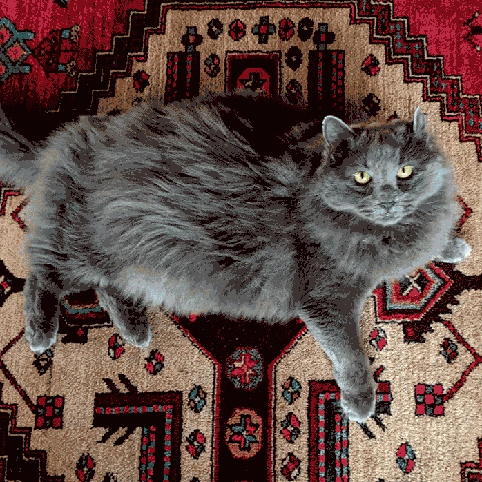 Greyson Blanket - Image 7