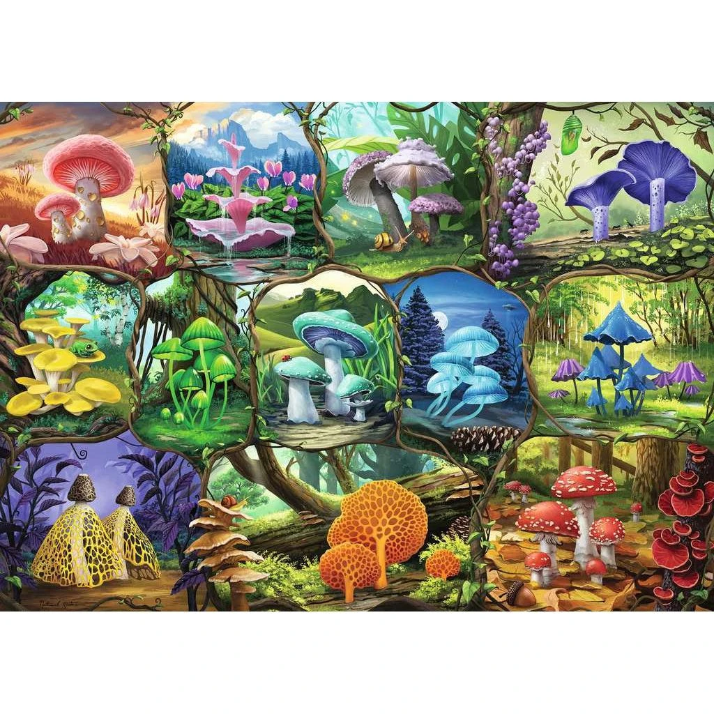 Beautiful Mushrooms 1000 Piece Puzzle - Image 2